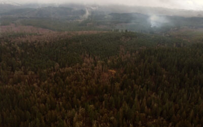 Update: SEPA Determination of Significance for Cumberland Project Delayed